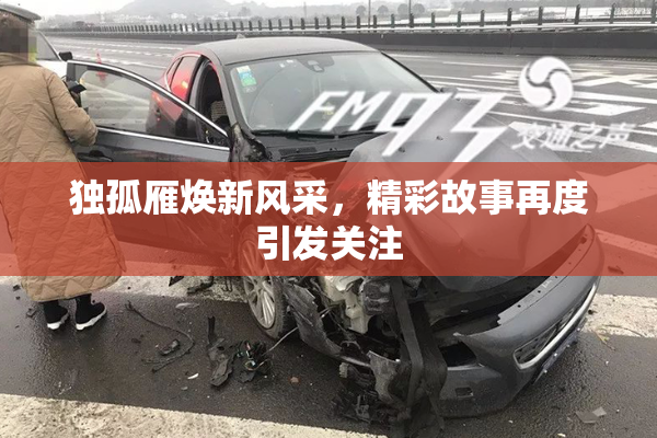 独孤雁焕新风采，精彩故事再度引发关注