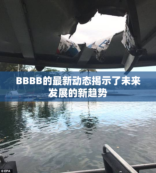 BBBB的最新动态揭示了未来发展的新趋势