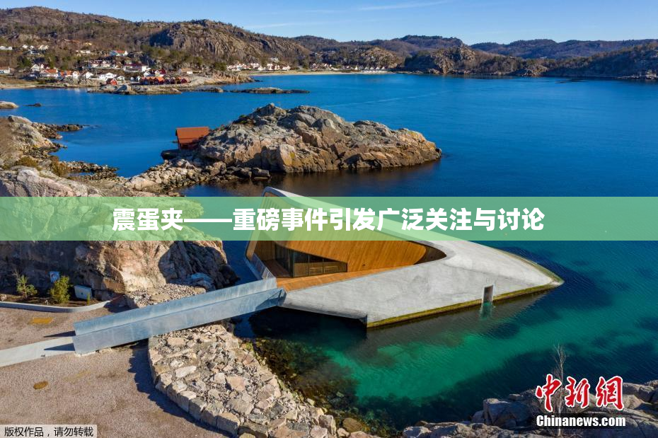 震蛋夹――重磅事件引发广泛关注与讨论