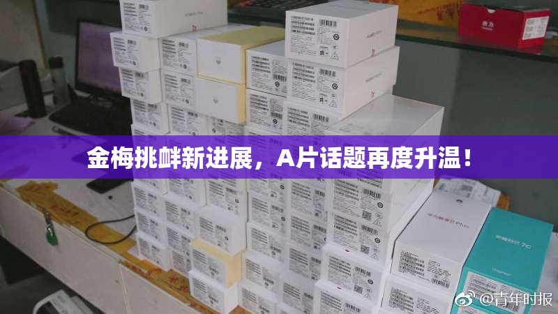 金梅挑衅新进展，A片话题再度升温！