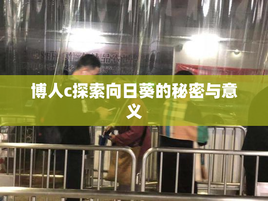 博人c探索向日葵的秘密与意义