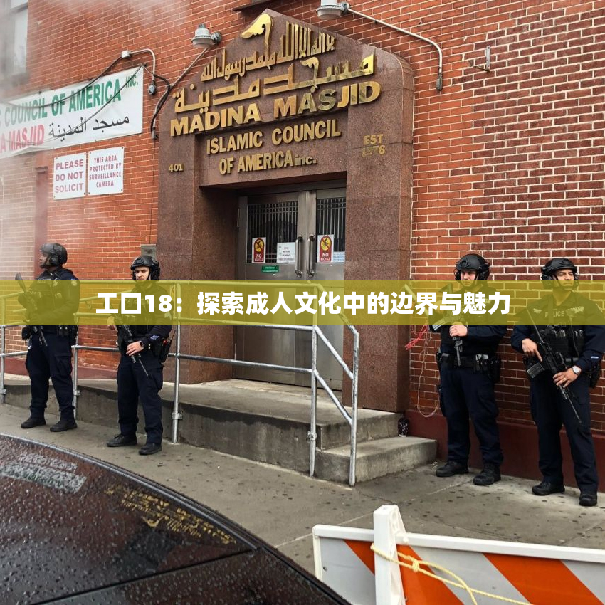 工口18：探索成人文化中的边界与魅力