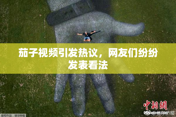 茄子视频引发热议，网友们纷纷发表看法