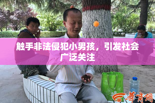 触手非法侵犯小男孩，引发社会广泛关注