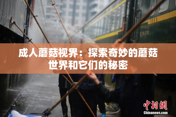 成人蘑菇视界：探索奇妙的蘑菇世界和它们的秘密
