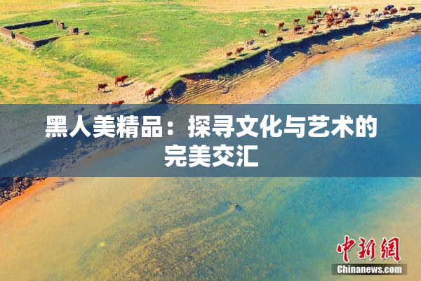黑人美精品：探寻文化与艺术的完美交汇