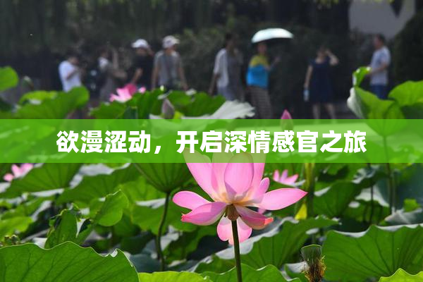 欲漫涩动，开启深情感官之旅