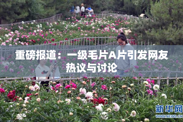 重磅报道：一级毛片A片引发网友热议与讨论