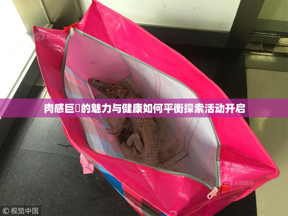 肉感巨凥的魅力与健康如何平衡探索活动开启