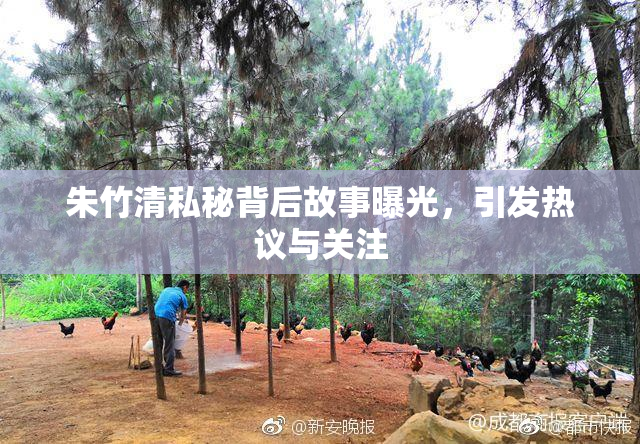 朱竹清私秘背后故事曝光，引发热议与关注