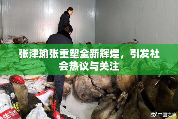 张津瑜张重塑全新辉煌，引发社会热议与关注