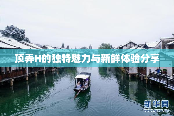 顶弄H的独特魅力与新鲜体验分享
