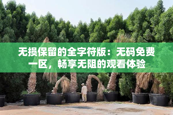 无损保留的全字符版：无码免费一区，畅享无阻的观看体验