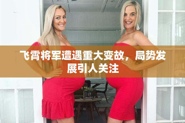 飞霄将军遭遇重大变故，局势发展引人关注
