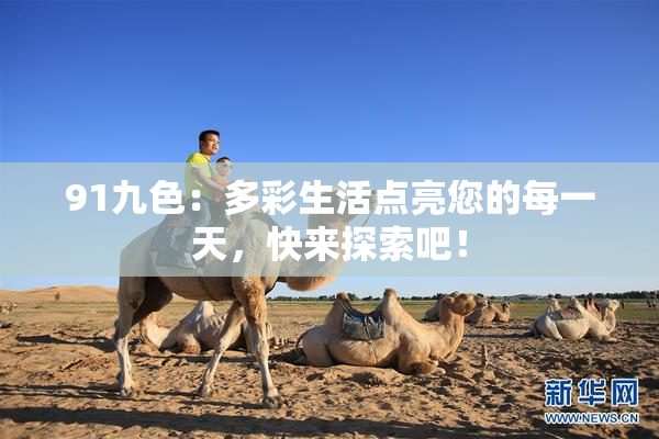91九色：多彩生活点亮您的每一天，快来探索吧！