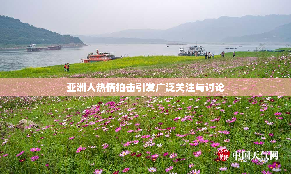 亚洲人热情拍击引发广泛关注与讨论