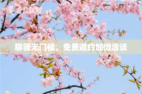 聊骚无门槛，免费邀约加微洽谈