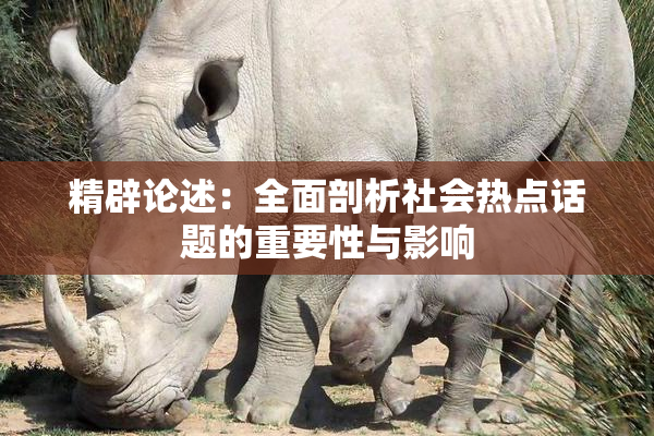 精辟论述：全面剖析社会热点话题的重要性与影响
