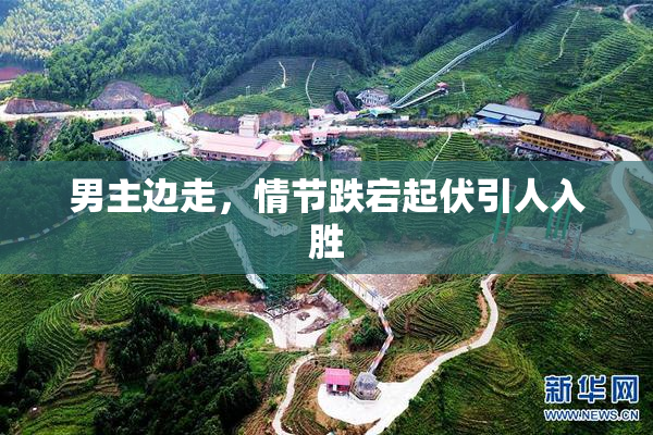 男主边走，情节跌宕起伏引人入胜