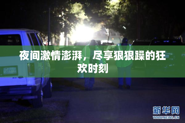 夜间激情澎湃，尽享狠狠躁的狂欢时刻