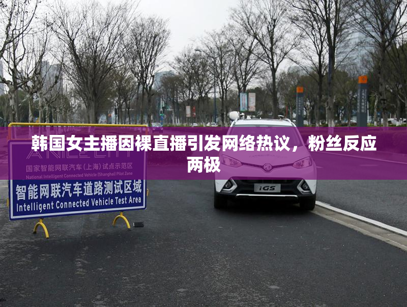 韩国女主播因裸直播引发网络热议，粉丝反应两极
