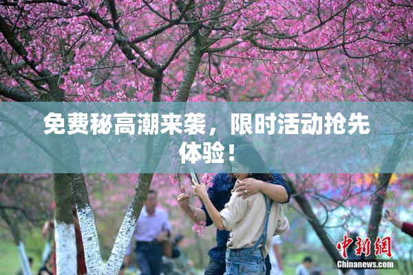 免费秘高潮来袭，限时活动抢先体验！