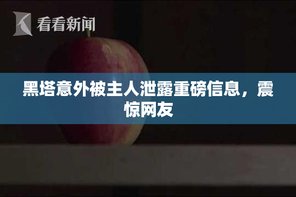 黑塔意外被主人泄露重磅信息，震惊网友