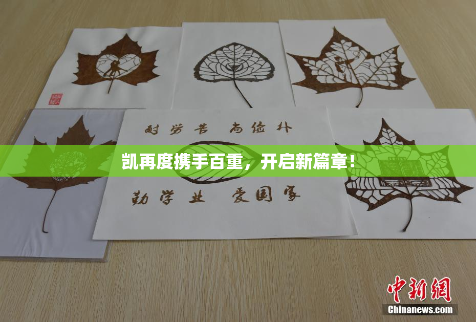 凯再度携手百重，开启新篇章！