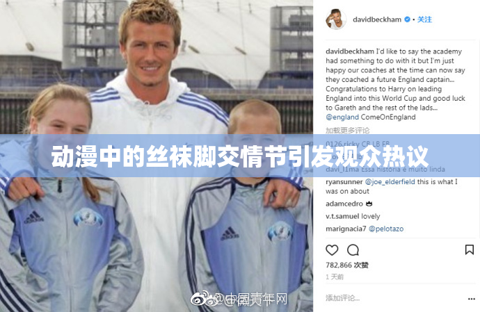 动漫中的丝袜脚交情节引发观众热议