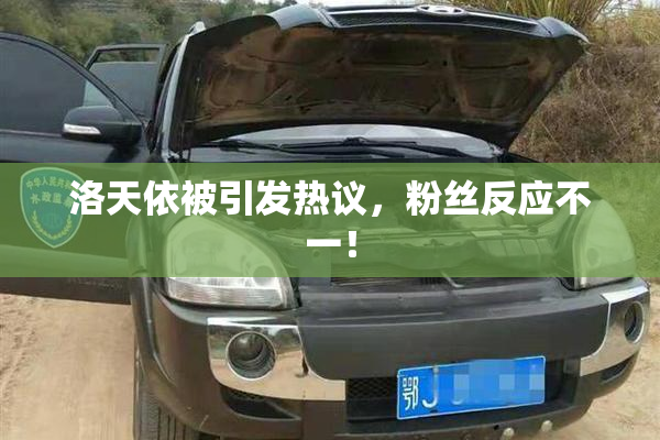 洛天依被引发热议，粉丝反应不一！