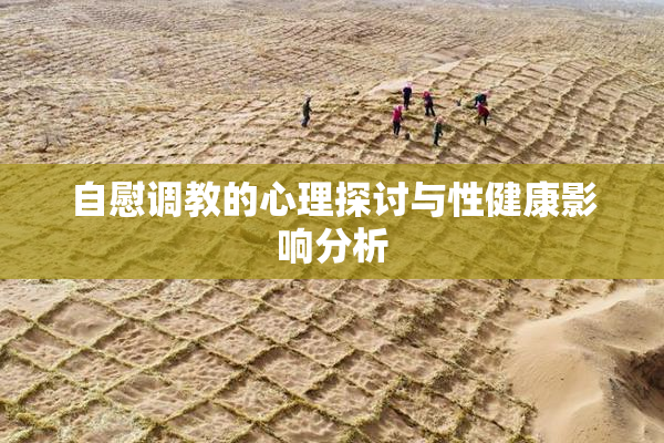 自慰调教的心理探讨与性健康影响分析