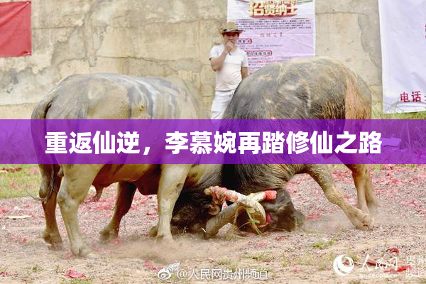 重返仙逆，李慕婉再踏修仙之路