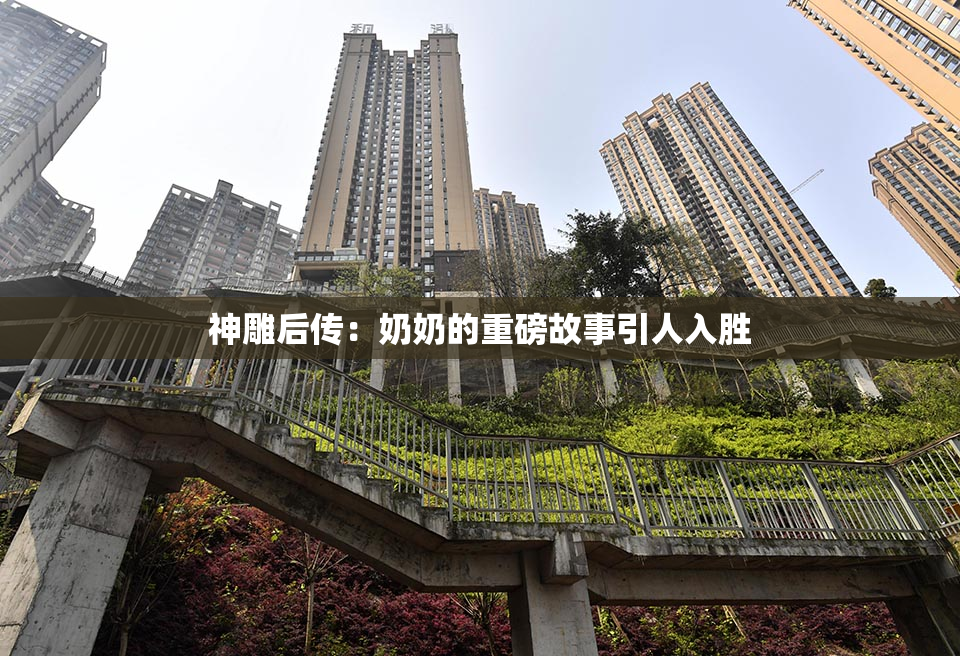 神雕后传：奶奶的重磅故事引人入胜