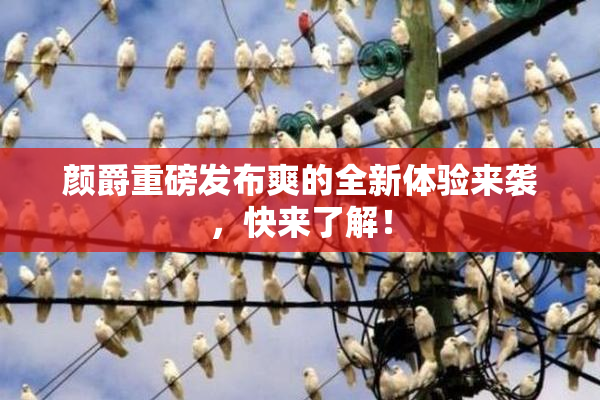 颜爵重磅发布爽的全新体验来袭，快来了解！