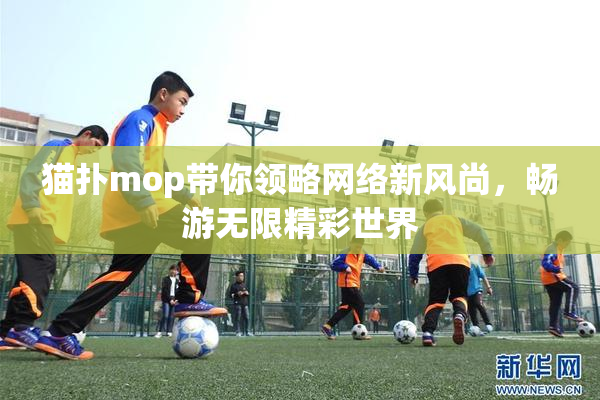 猫扑mop带你领略网络新风尚，畅游无限精彩世界