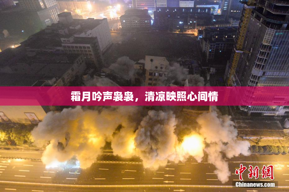 霜月吟声袅袅，清凉映照心间情