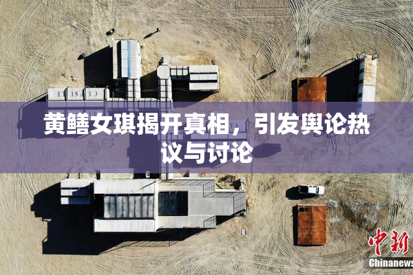 黄鳝女琪揭开真相，引发舆论热议与讨论