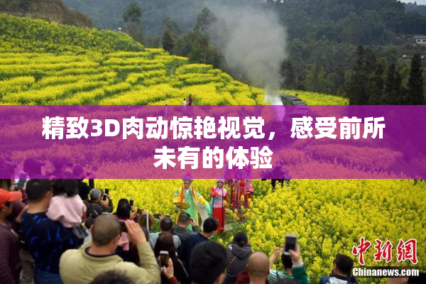 精致3D肉动惊艳视觉，感受前所未有的体验