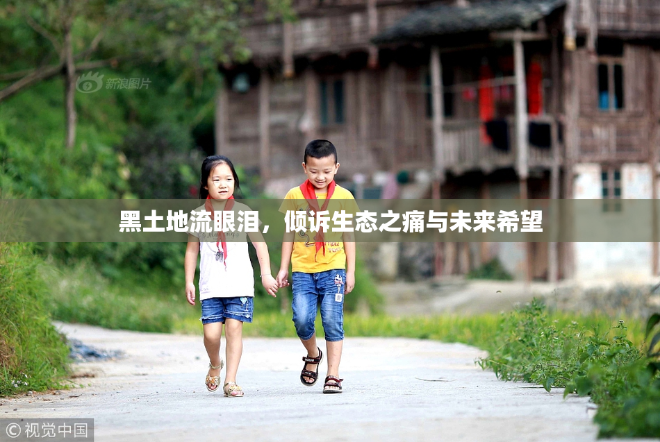 黑土地流眼泪，倾诉生态之痛与未来希望