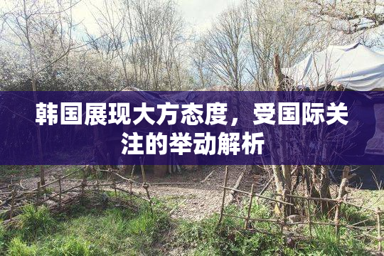韩国展现大方态度，受国际关注的举动解析