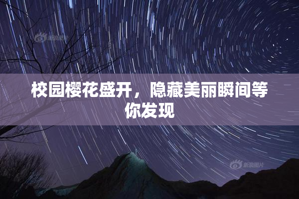 校园樱花盛开，隐藏美丽瞬间等你发现