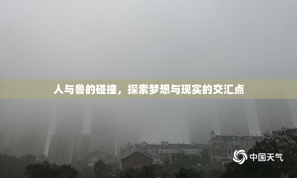 人与鲁的碰撞，探索梦想与现实的交汇点