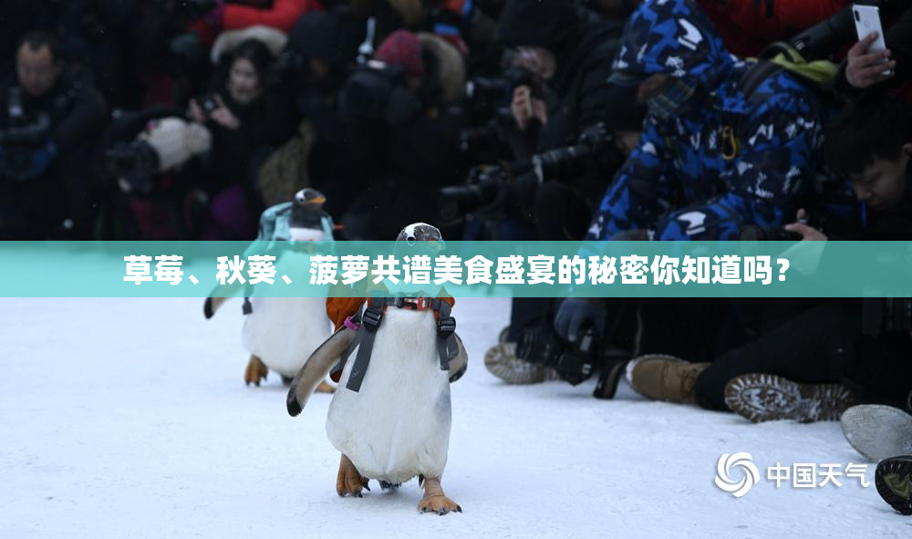草莓、秋葵、菠萝共谱美食盛宴的秘密你知道吗？