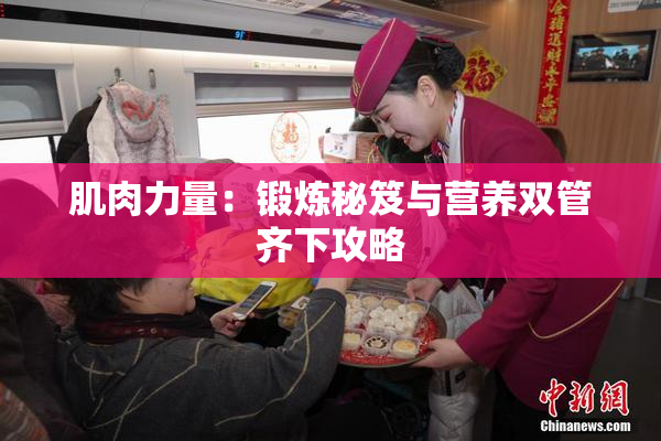 肌肉力量：锻炼秘笈与营养双管齐下攻略