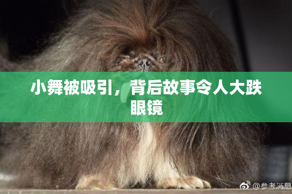 小舞被吸引，背后故事令人大跌眼镜