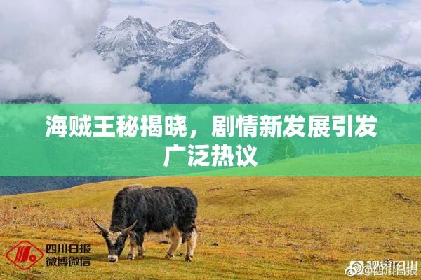 海贼王秘揭晓，剧情新发展引发广泛热议