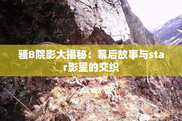 骚B院影大揭秘：幕后故事与star影星的交织