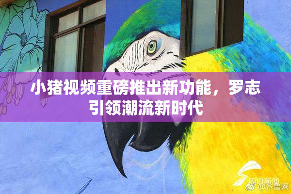 小猪视频重磅推出新功能，罗志引领潮流新时代