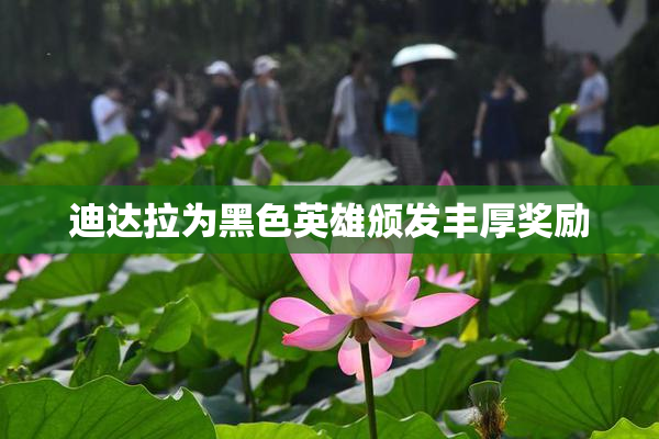 迪达拉为黑色英雄颁发丰厚奖励