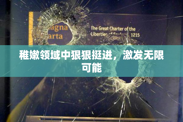 稚嫩领域中狠狠挺进，激发无限可能